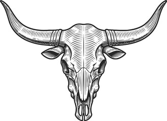 Obraz premium Detailed illustration of a longhorn cattle skull with extensive linework and shading