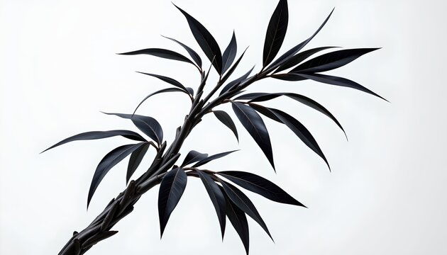 This is an artistic close up photograph of a large green plant with leafy branches that have been artistically manipulated to appear as if they are a black and white stylization of a tree or bush set