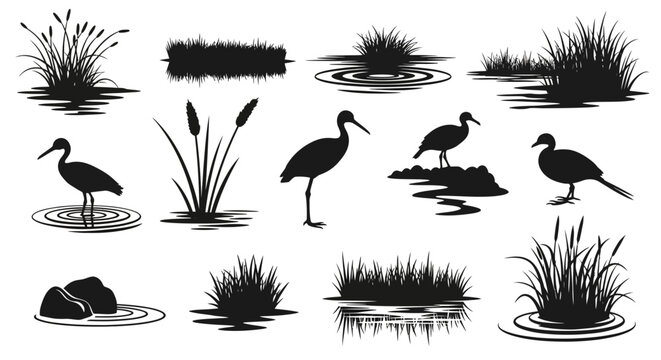 Set of black silhouettes of swamp plants and birds, including reeds, cattails, and various waterfowl, with reflections on water.