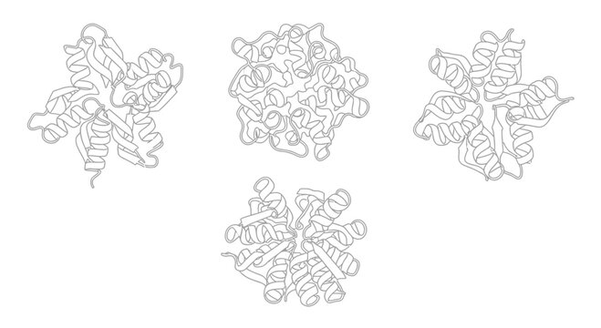 Abstract Protein Structures, Molecular Biology, Science and Research