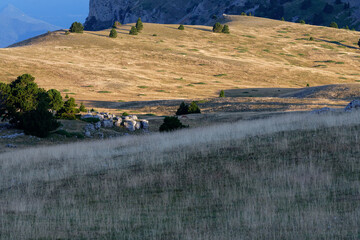 Obraz premium Crépuscule sur l'extrémité sud du plateau du Glandasse - Vercors