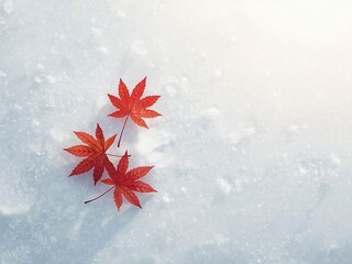 雪の上に落ちた紅葉