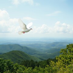 Lone Dove A solitary white dove flying high above a peaceful gre