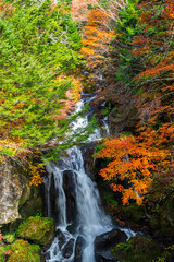 Ryuzu Waterfall or Ryuzu Cascades with autumn background is one of Landmark in Nikko to see autumn colors Nikko, Tochigi, Japan