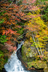Ryuzu Waterfall or Ryuzu Cascades with autumn background is one of Landmark in Nikko to see autumn colors Nikko, Tochigi, Japan