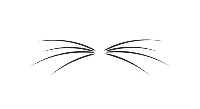 Cat Whiskers Isolated on White Background
