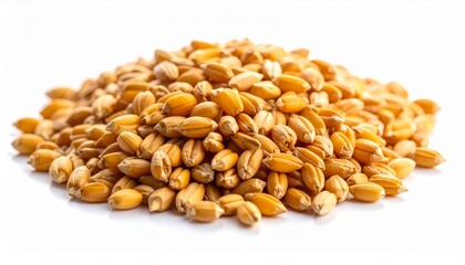 "A pile of golden-brown wheat grains on a clean white background, symbolizing agriculture, food production, nutrition, and the raw form of a global staple ingredient."