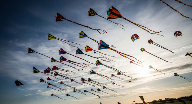 Kites Flying in the Sky.