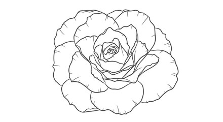 A simple black and white line drawing of a rose flower.