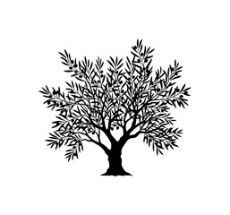 Fototapeta premium Olive Tree Vector Illustration
