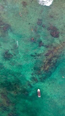 Aerial drone view of people snorkelling  © Michael
