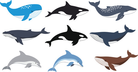 Obraz premium Whales and Dolphins Illustration Set with Orca and Marine Mammal Characters for Ocean Wildlife Education and Nature Design