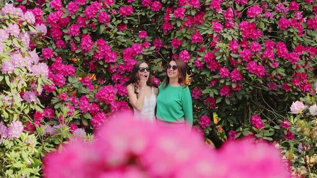 Emotional reaction unfolds as spring blossoms amplify wonder and shared joy