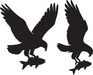 Fototapeta premium Set of osprey as a fishing raptor icon silhouettes vector