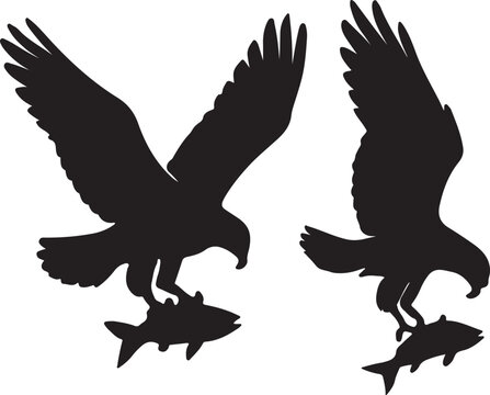 Set of osprey as a fishing raptor icon silhouettes vector