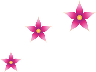 Flor de cinco petalos cometa © White Flare Graphics