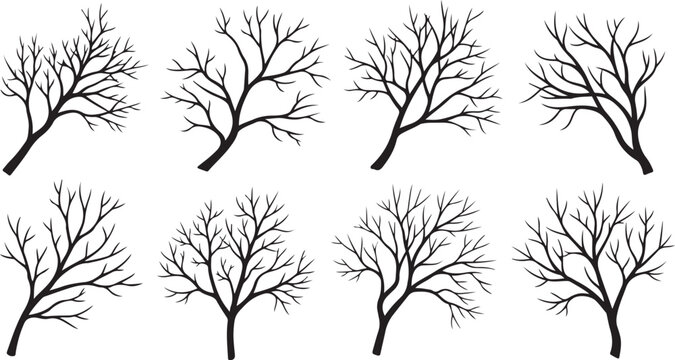 Set of bare tree silhouettes on white background illustration