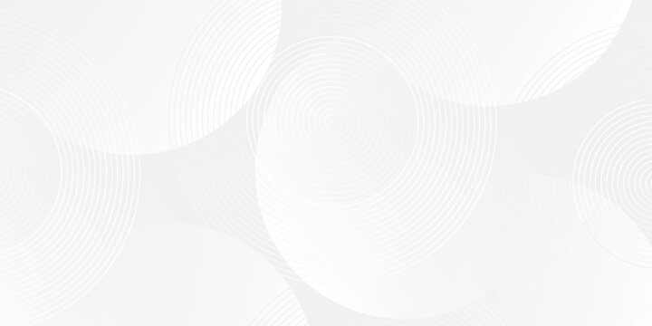 White geometric abstract background overlap layer on bright space with lines effect decoration. Modern graphic design element circles style concept for banner, modern vector arts