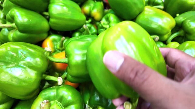 Hand selecting fresh green bell peppers at market, close up food footage highlighting freshness, healthy eating, and natural produce choice.