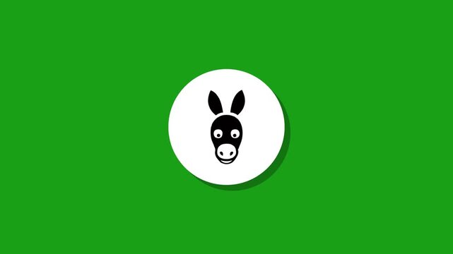 Donkey face icon animated on green screen background, simple animation, motion graphics