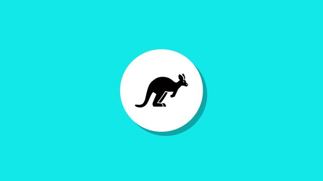 Minimalist kangaroo icon animation on bright turquoise background with circular white transition and shadow