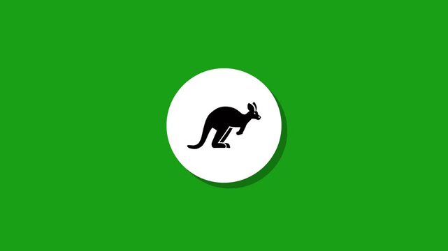 Kangaroo silhouette icon appearing on white circle over green background in flat style motion graphic animation