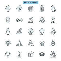 A serene high-angle shot captures a minimalist modern office space featuring ergonomic furniture and lush green plants bathed in soft natural morning light