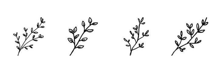 Fototapeta premium Four Botanical Branches Line Icon Set In Doodle Style. Nature, Organic Growth, And Floral Design Elements Outline Sketch Collection. Hand Drawn Isolated Vector Illustration