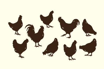 Vintage chicken silhouettes set collection, vector various poses of hens and roosters silhouette textured vintage ink details style, rustic design farm-themed branding, agricultural projects © Muhammad