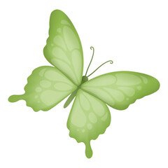 Butterfly Illustration