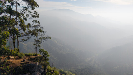 Ella rock sunrise hike in Sri Lanka  © Michael