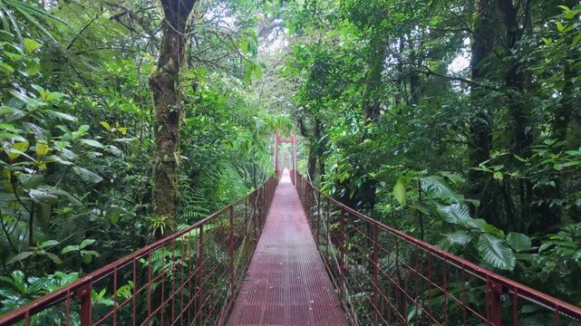A static view of a hanging suspension bridge surrounded by lush greenery in the Monteverde Cloud Forest, Costa Rica, showcasing the tropical rainforest's scenic beauty and eco-tourism appeal.