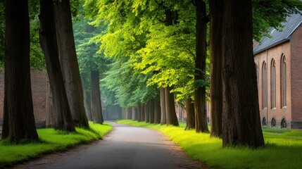 Obraz premium Serene Pathway Flanked by Majestic Green Trees in a Calm Natural Setting with Soft Light Filtering Through Leaves and Illuminating the Ground