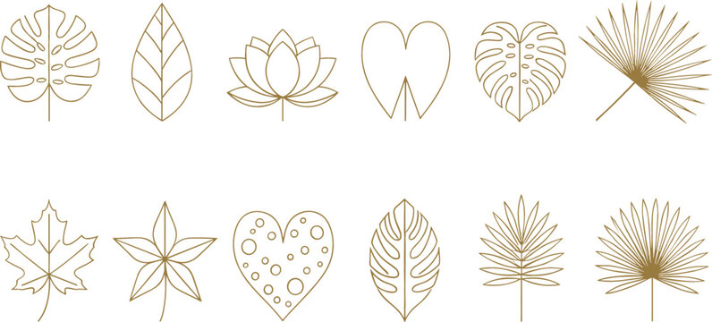 Set of botanical leaf line icons vector tropical foliage decorative collection isolated