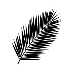 Fototapeta premium black tropical palm leaf silhouette a minimalist graphic element on white evoking summer exotic vibes ideal for modern design.