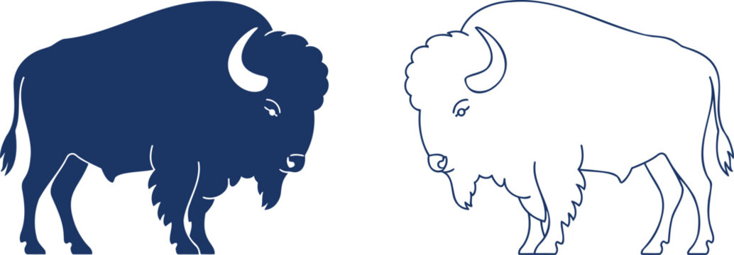 Blue and white bison buffalo animal
