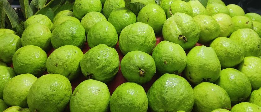 Fresh Green Guava Fruit Close Up