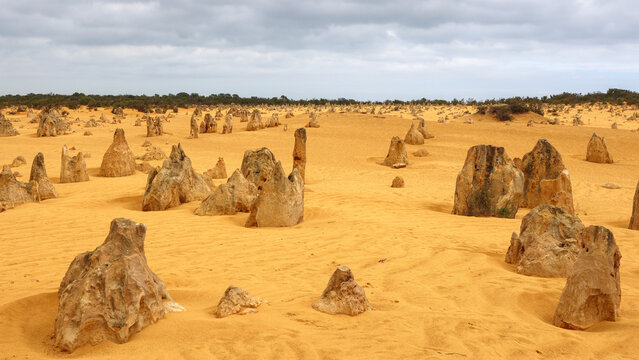 The Pinnacles Desert, Nambung National Park. Near Cervantes and Jurien Bay, Western Australia. Limestone rock pillars. Famous tourism destination, approximately 200 kilometers north of Perth