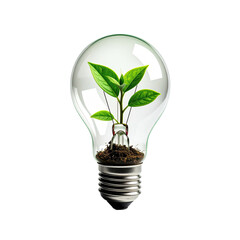 A clear lightbulb contains rich soil and a thriving green plant against black backdrop