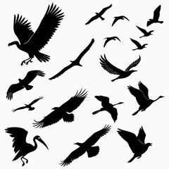 Naklejka premium Flying Bird Silhouette Bundle – 30 Wildlife Bird SVG EPS PNG Vector Designs