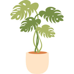 Illustration of a Potted Monstera Deliciosa Houseplant with Fenestrated Leaves © Hudson Studio