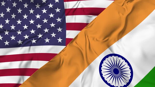 United States vs India flag seamless animation. high quality video
