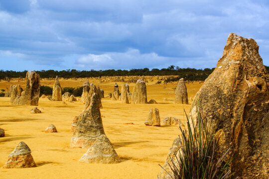 Limestone Pinnacles in the Pinnacles Desert, Nambung National Park near Cervantes, Western Australia