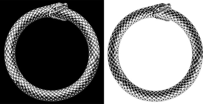 An ouroboros or uroboros serpent snake consuming its own tail circle in a vintage woodcut style