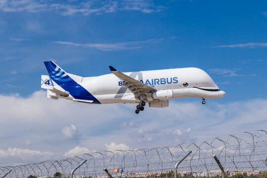 Airbus Beluga A330-700 at the Getafe Airport in Madrid, Spain