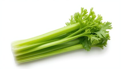 Isolated fresh celery on a white background with clipping path