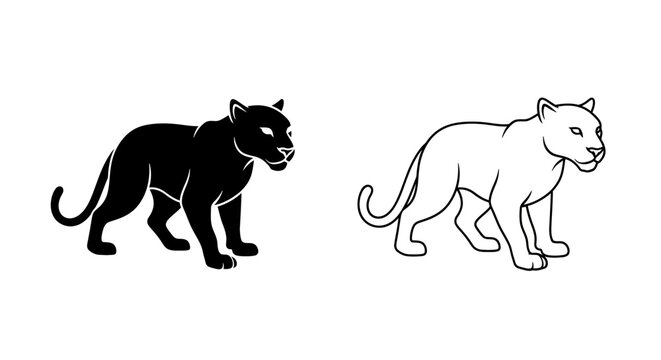 Black and white cat illustration, panther and snow leopard drawing, vector art Vector