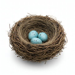 Obraz premium Delicate bird's nest crafted from natural twigs and straw, holding three vibrant blue speckled eggs, representing new beginnings and the essence of spring, isolated on white