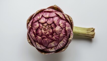 Obraz premium New artichoke leaves on light backdrop