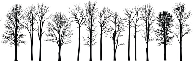 Fototapeta premium Set of leafless winter tree silhouettes with bare branches and detailed trunks for forest landscape nature design isolated on white background
